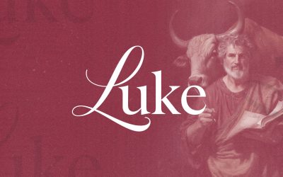 Luke Part 8