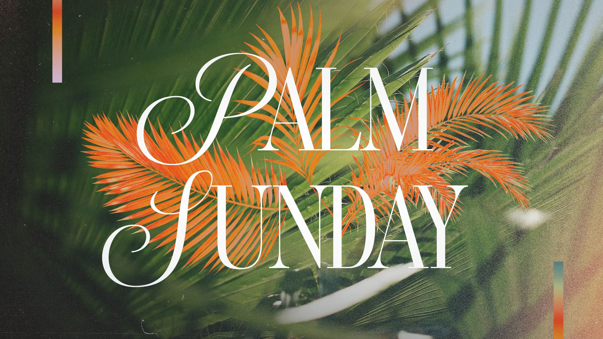 Palm-Sunday-featured Palm Sunday featured